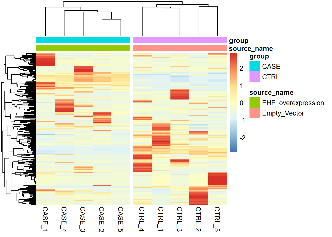 Clustering samples using the top 500 most variable genes normalized using RUVs (k = 2).