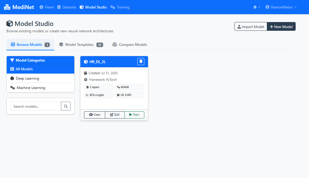 Model designer entry screen with template options and custom model creation choices for different problem types