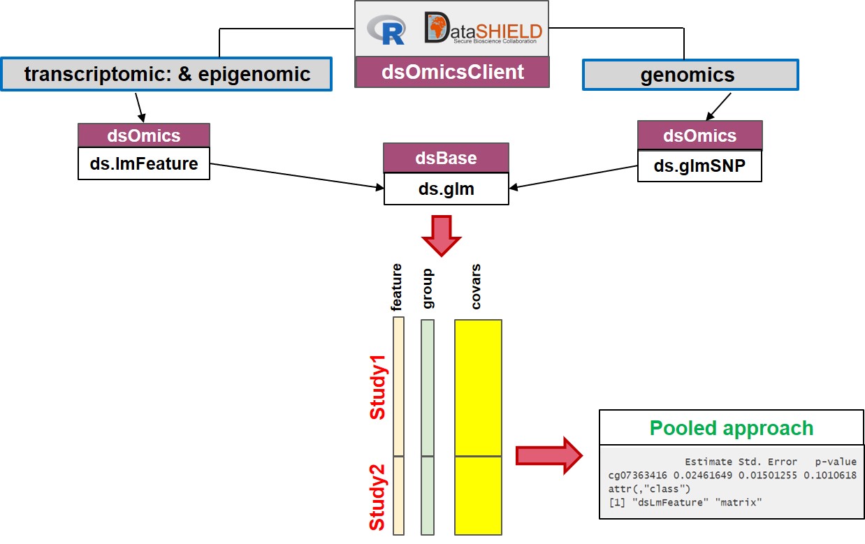 Non-disclosive omic data analysis with DataSHIELD and Bioconductor. The figure illustrates how to perform single pooled omic data analysis. The analyses are performed by using a generalized linear model (glm) on data from one or multiple sources. It makes use of `ds.glm()`, a DataSHIELD function, that uses an approach that is mathematically equivalent to placing all individual-level data from all sources in one central warehouse and analysing those data using the conventional `glm()` function in R.