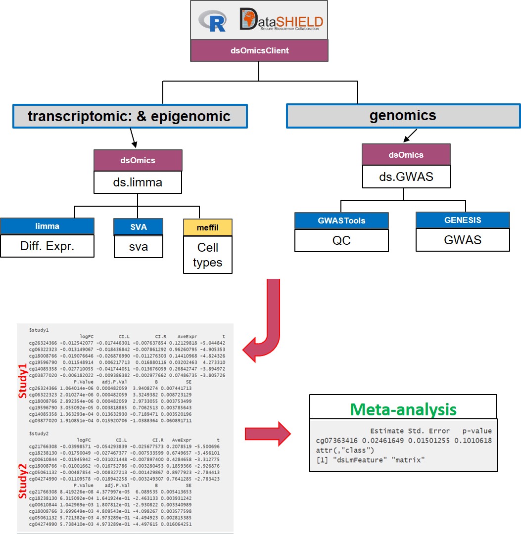 Non-disclosive omic data analysis with DataSHIELD and Bioconductor. The figure illustrates how to perform anlyses at genome-wide level from one or multiple sources. It runs standard Bioconductor functions at each server independently to speed up the analyses and in the case of having multiple sources, results can be meta-analyzed uning standar R functions.
